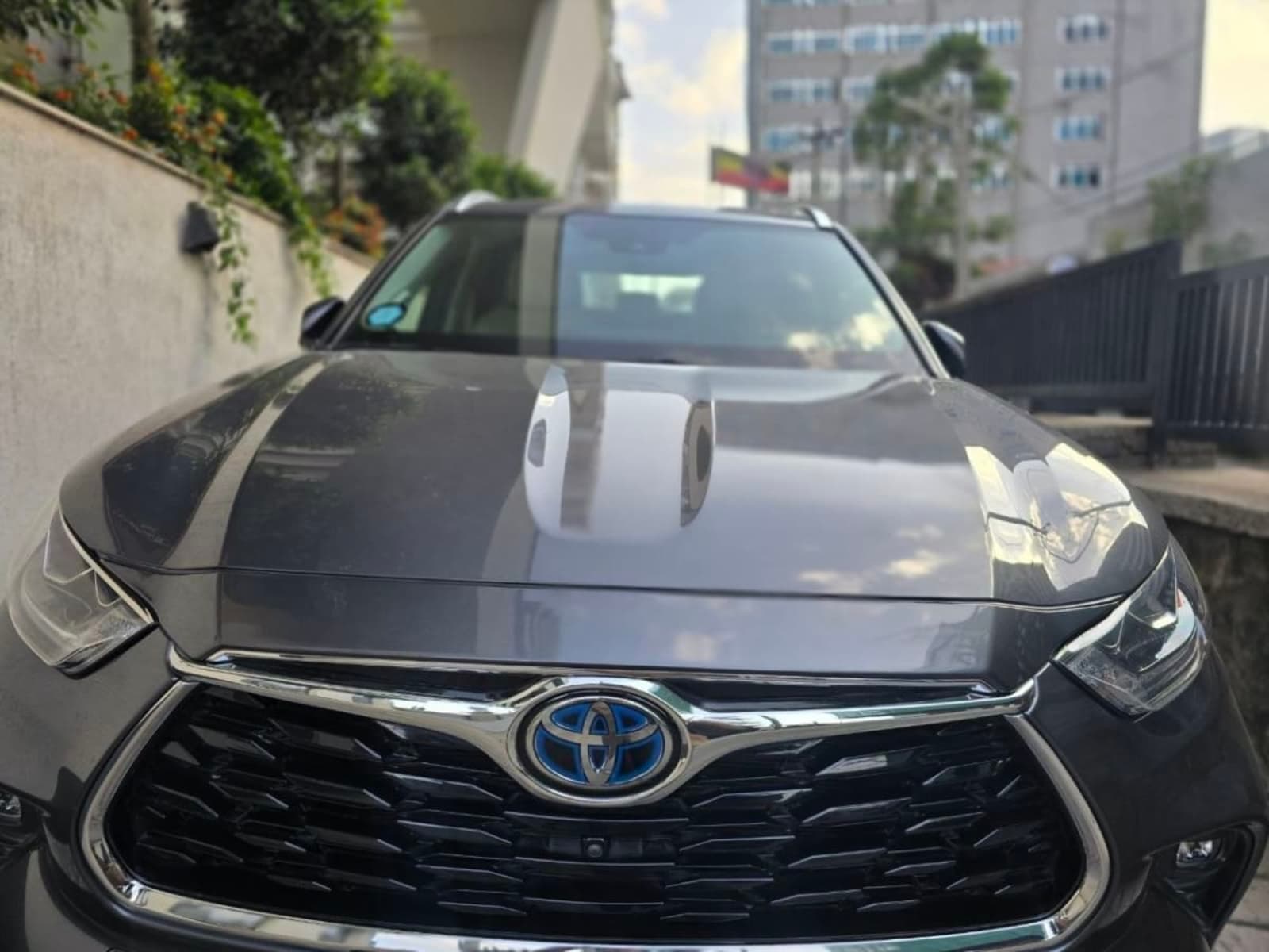 2024 Toyota Highlander Hybrid — photo 4