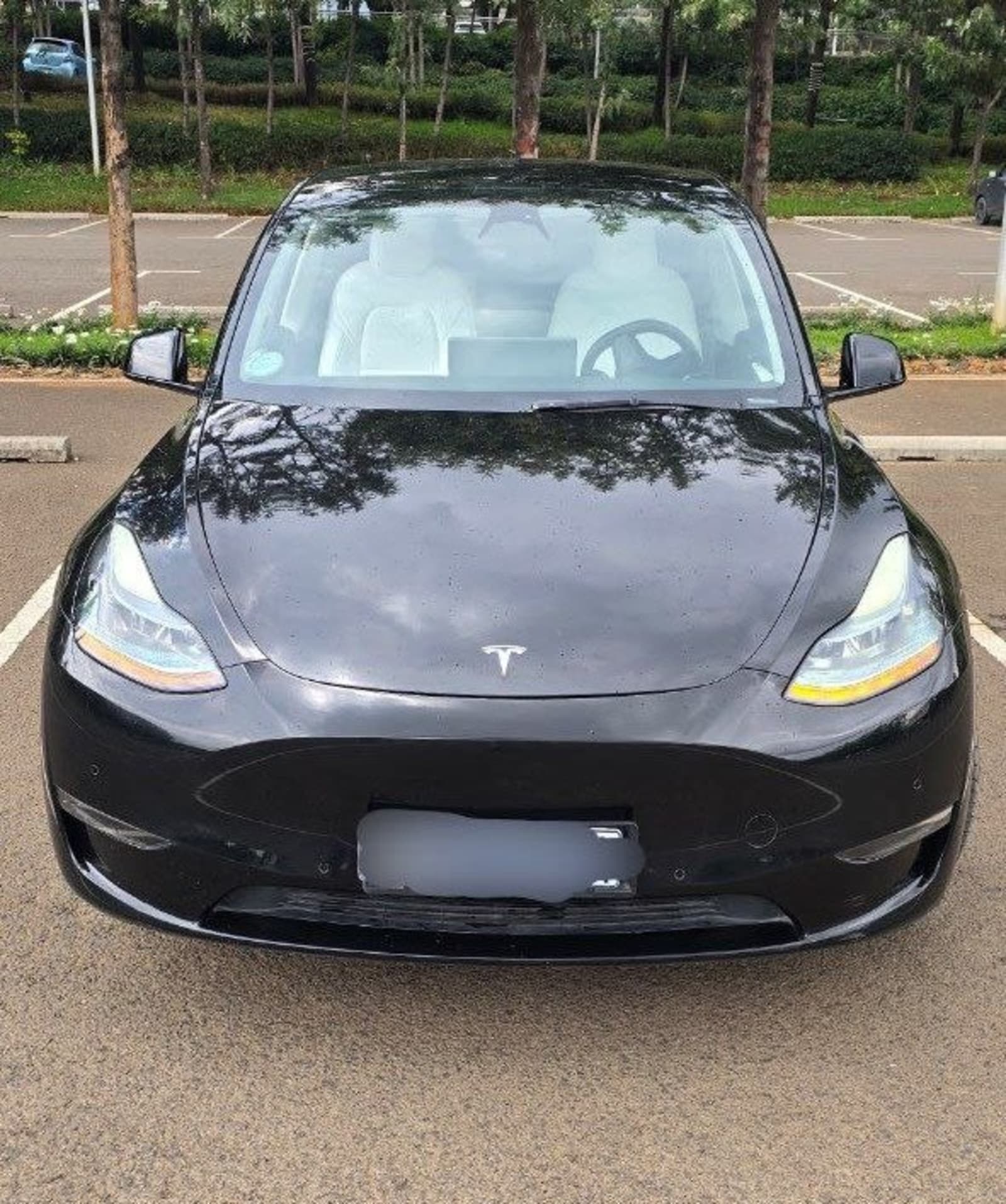 2024 Tesla Y
