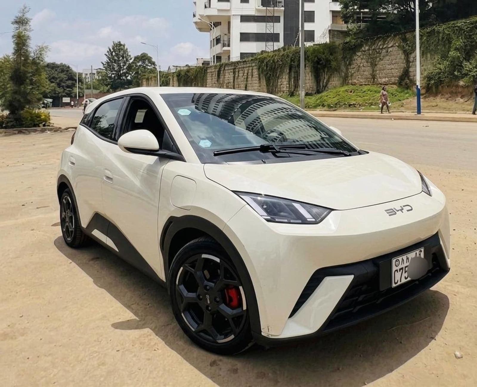 2025 BYD Seagull