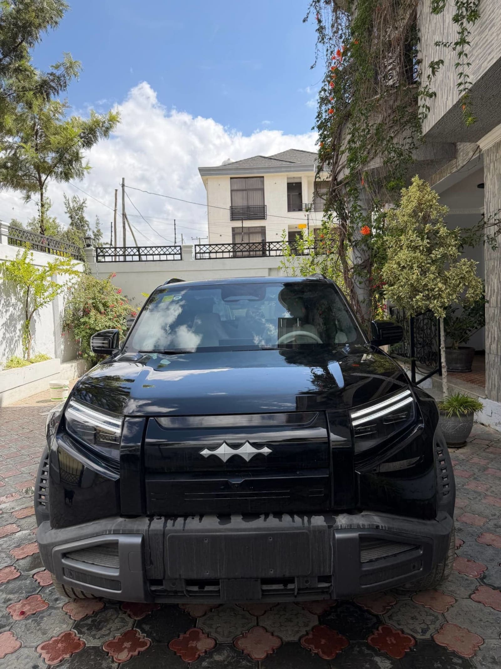 2025 BYD Leopard 03 — photo 6