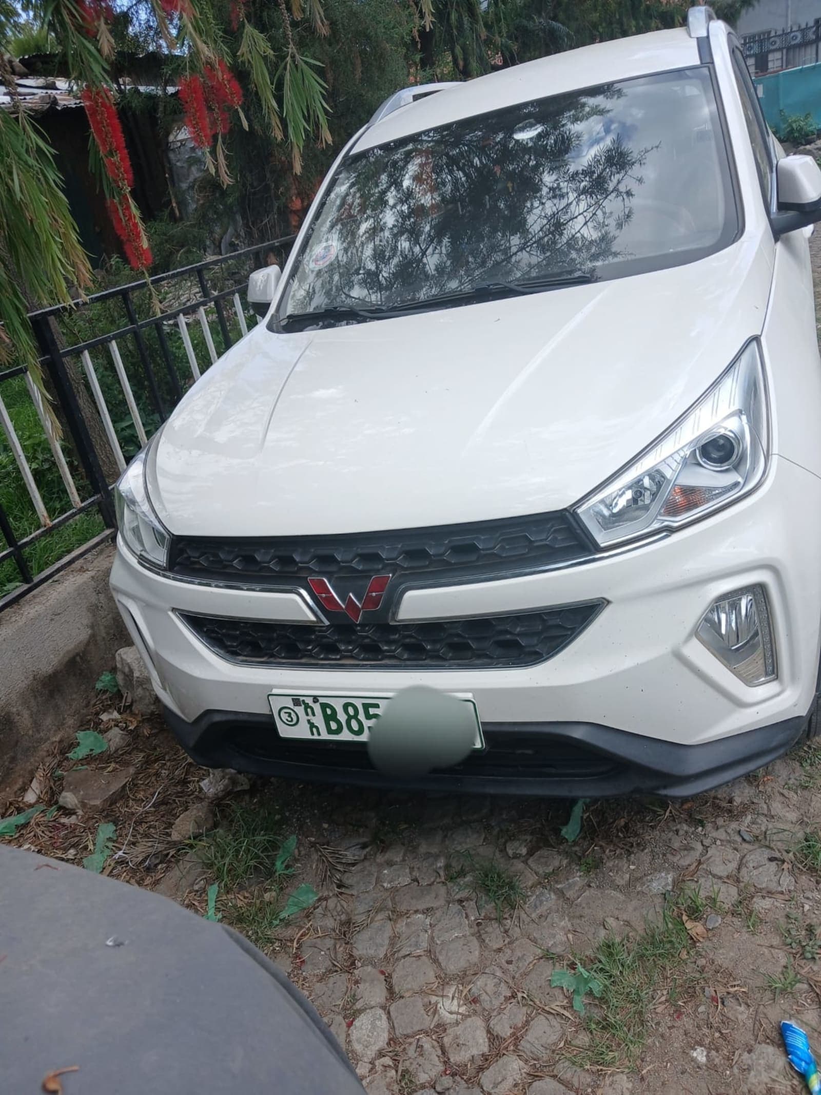 2023 Wuling Hongguang S3 — photo 3