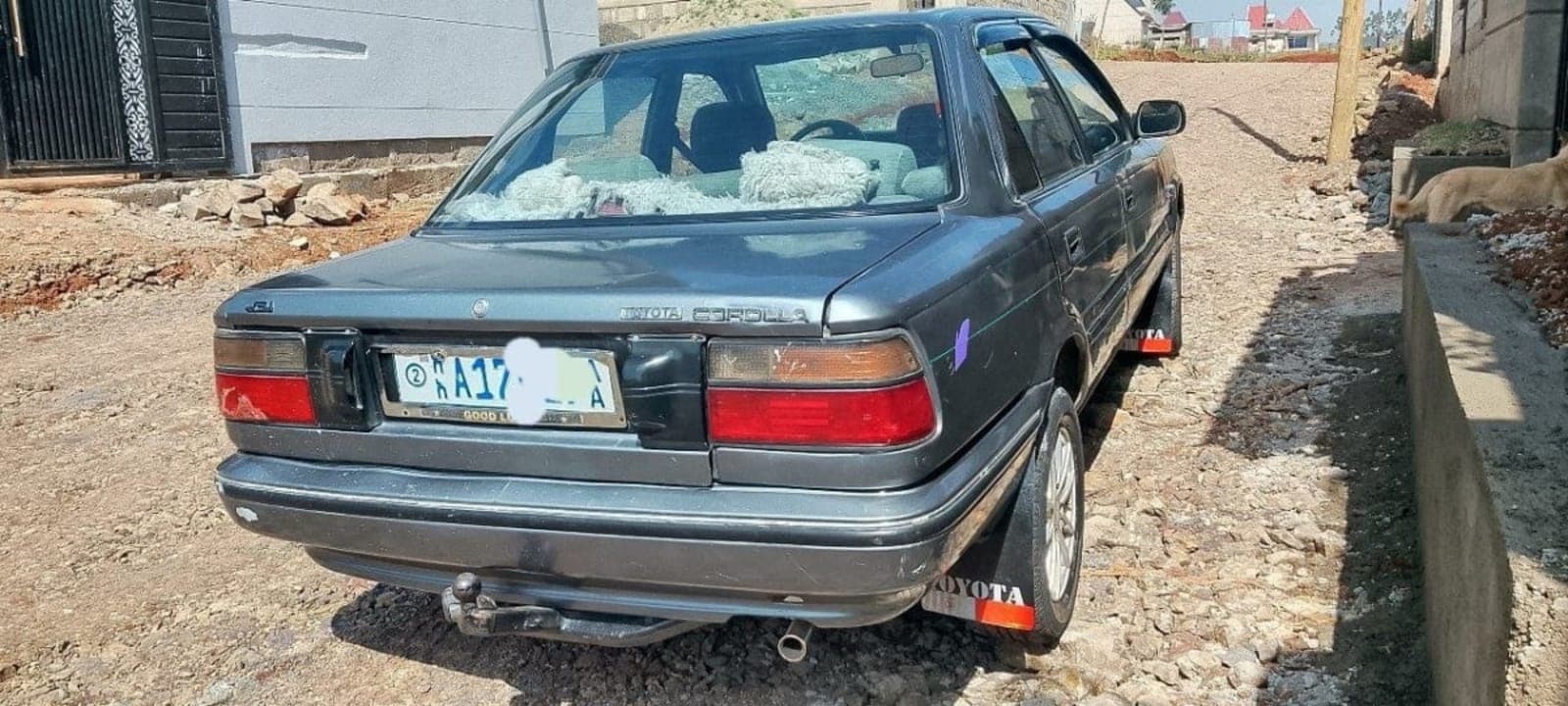 1992 Wianji DX — photo 3