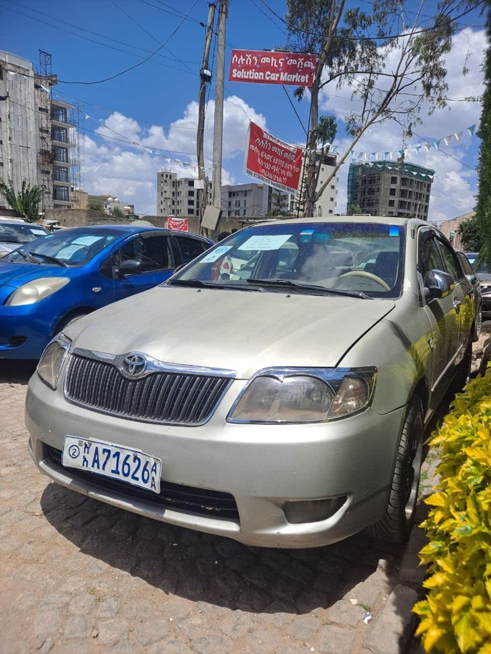2006 Toyota Corolla — photo 4