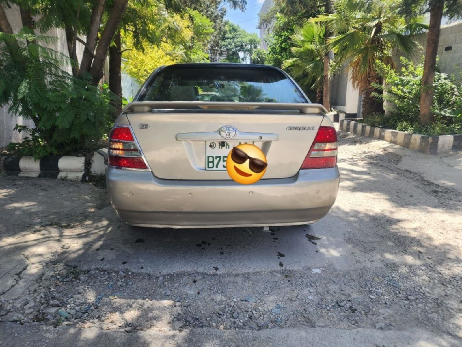 2003 Toyota corolla — photo 5