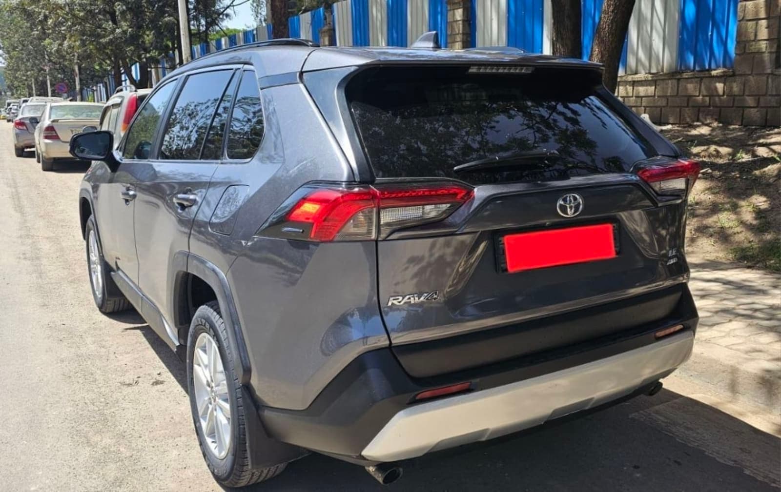2019 Toyota Rava 4 — photo 3