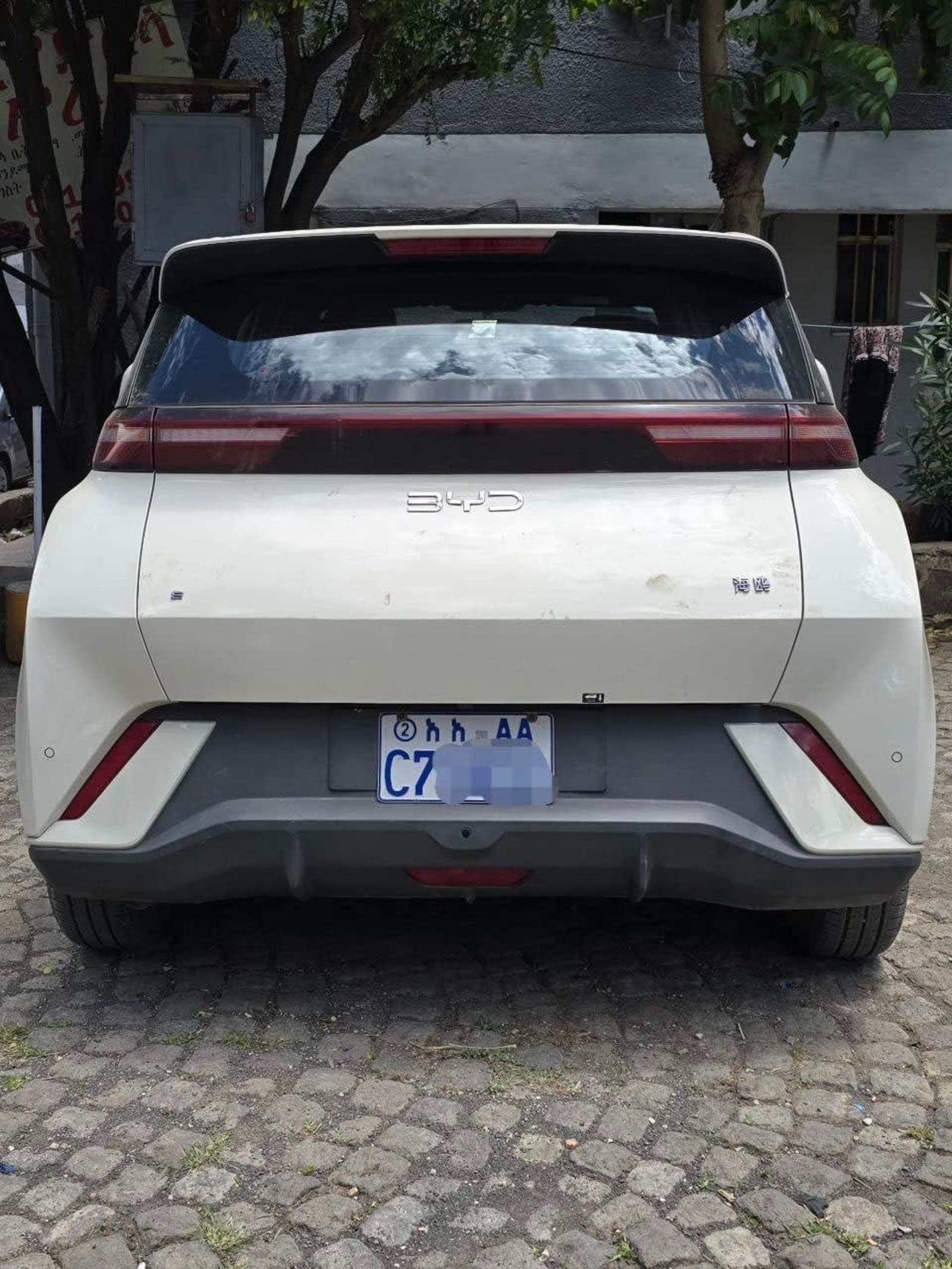 2025 BYD Seagull
