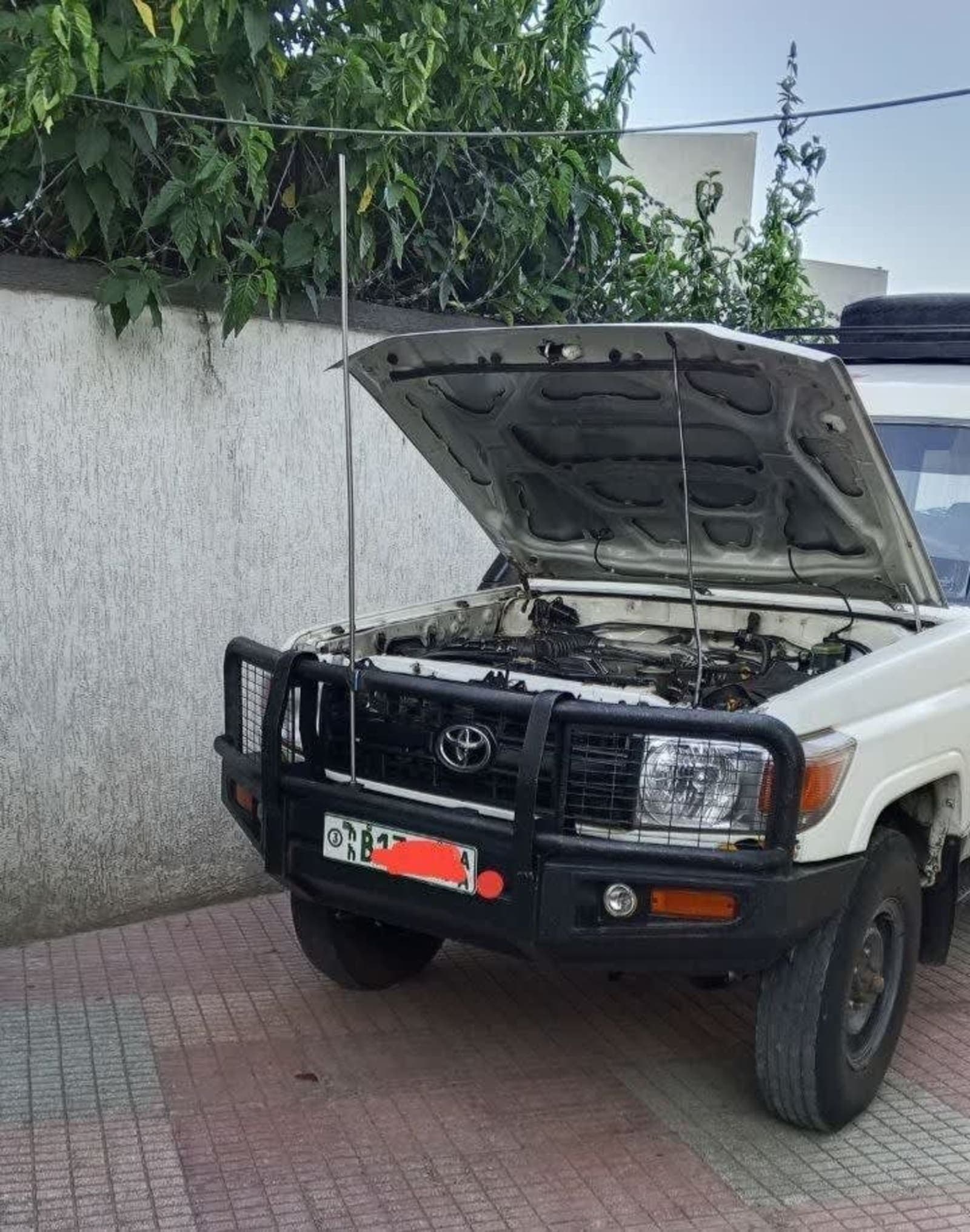 2009 Toyota Landcruiser — photo 3