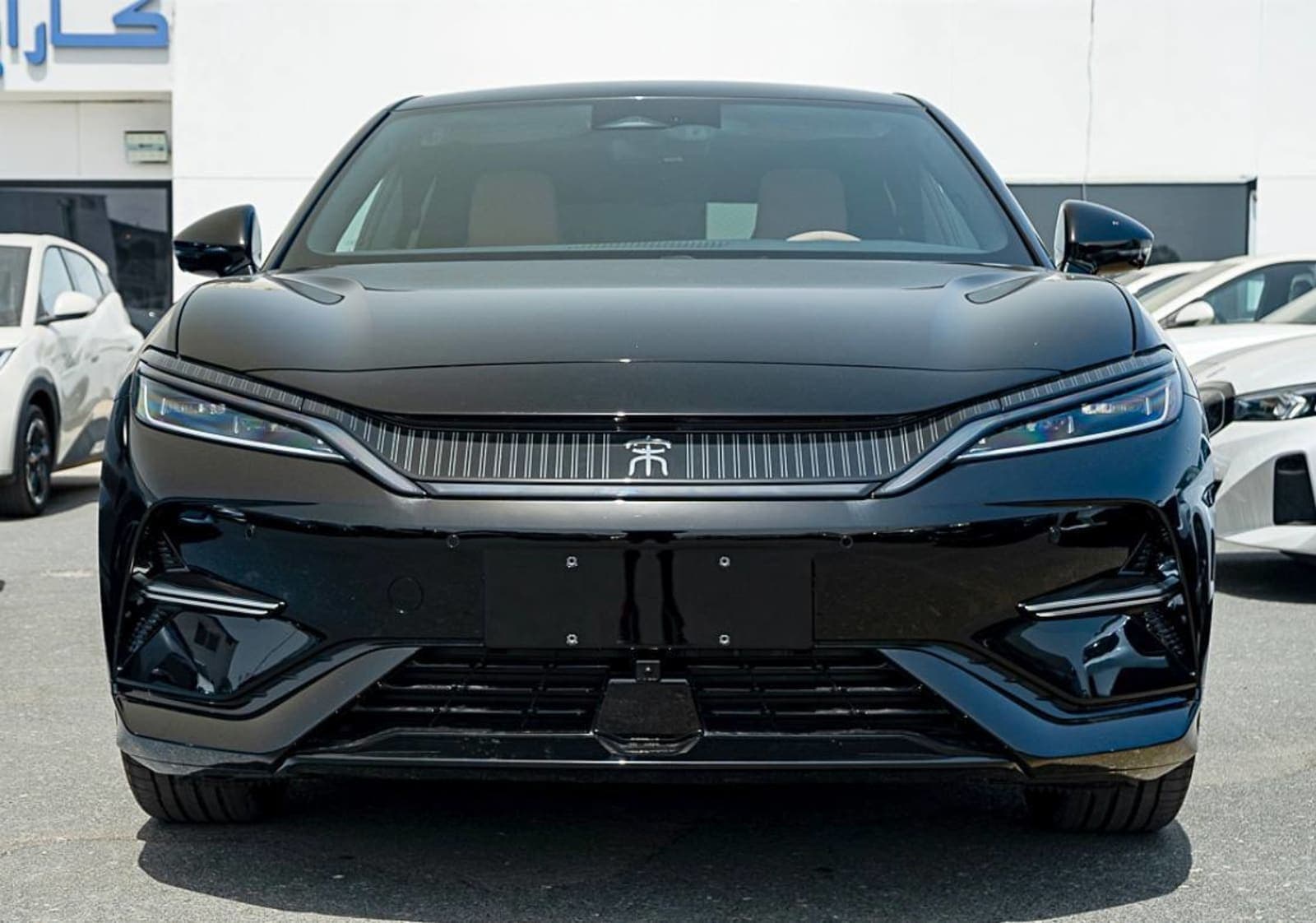 BYD Song L — photo 4