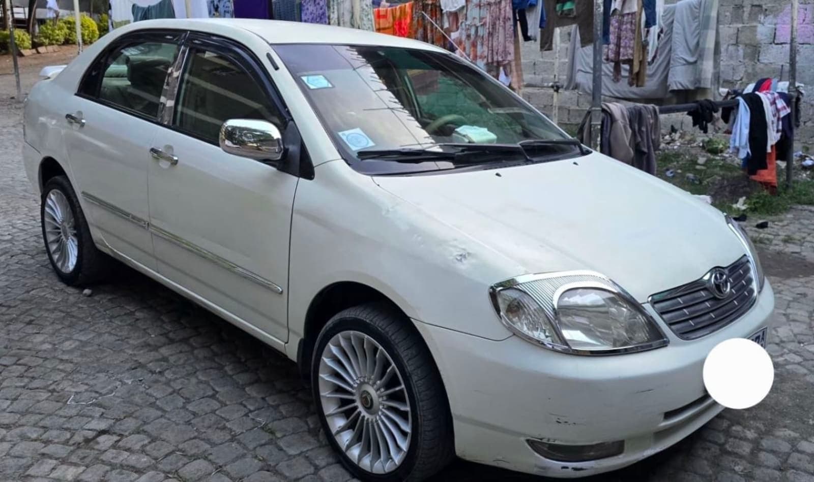 2003 Toyota Corolla — photo 6