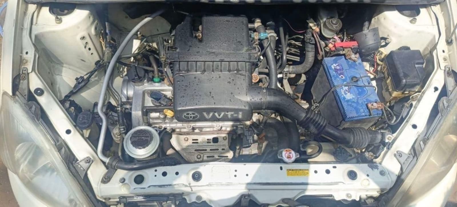 2004 Toyota Vitz