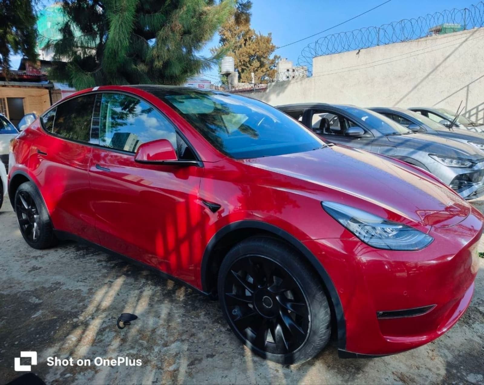 2022 Tesla Y — photo 7