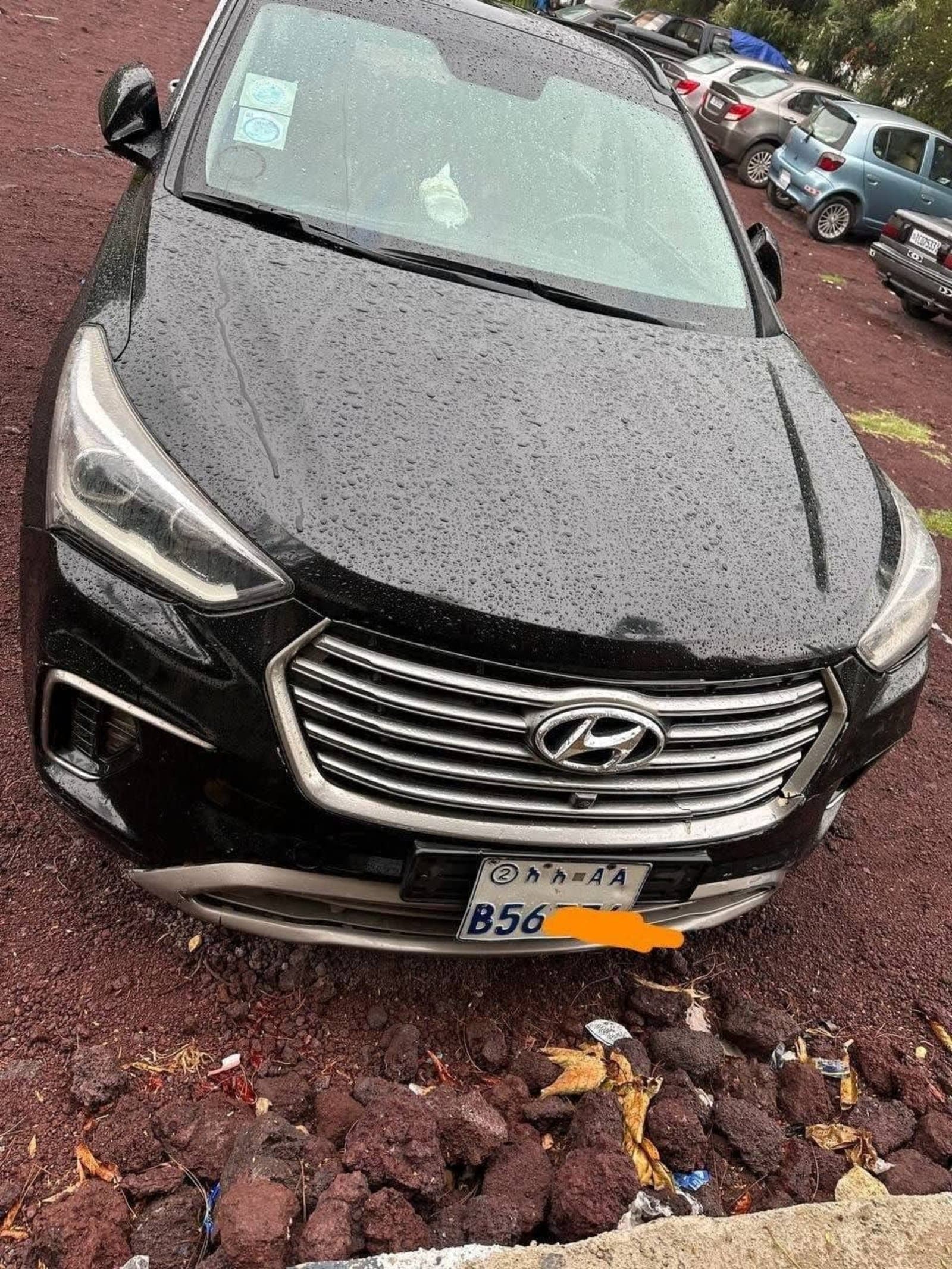 2017 Hyundai Santafe Maxcruz — photo 6
