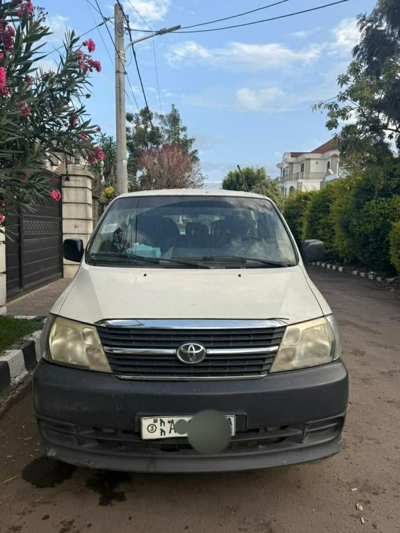 2010 Toyota Dolphin shark