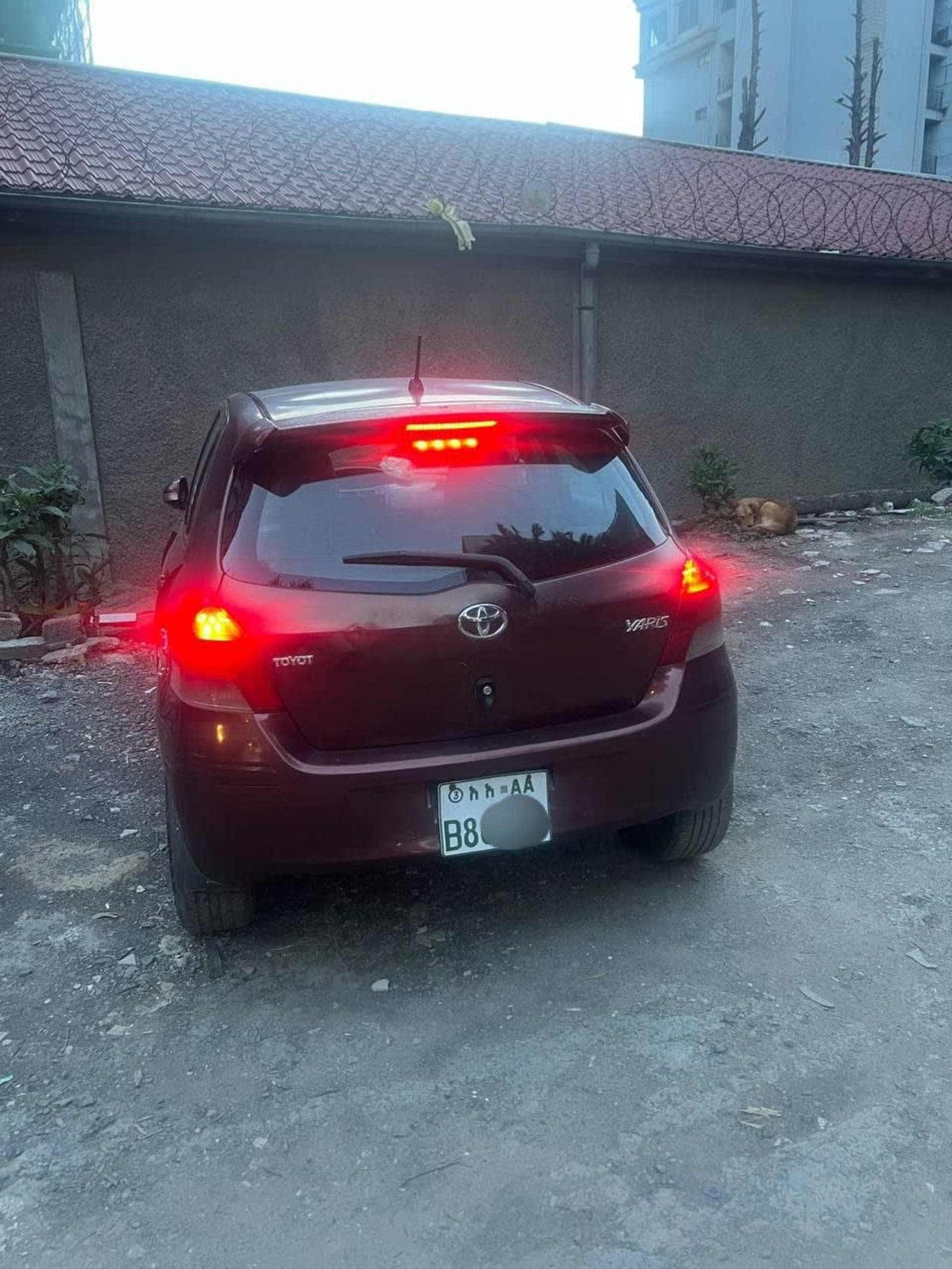 2010 Toyota Compact Yaris — photo 2