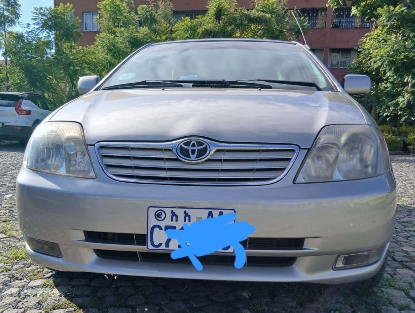 2003 Toyota Corolla — photo 6