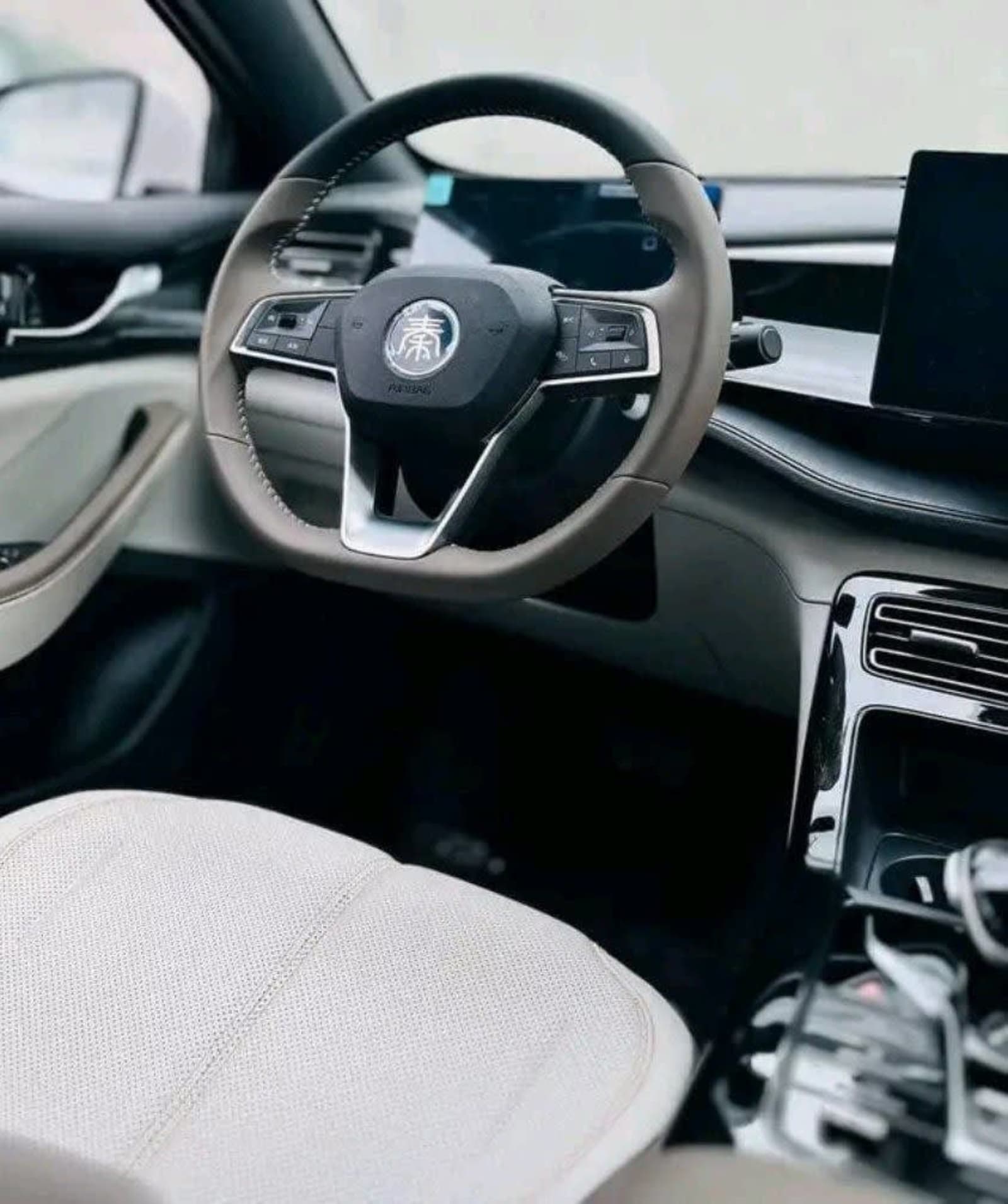 2025 BYD QIN DMI — photo 3