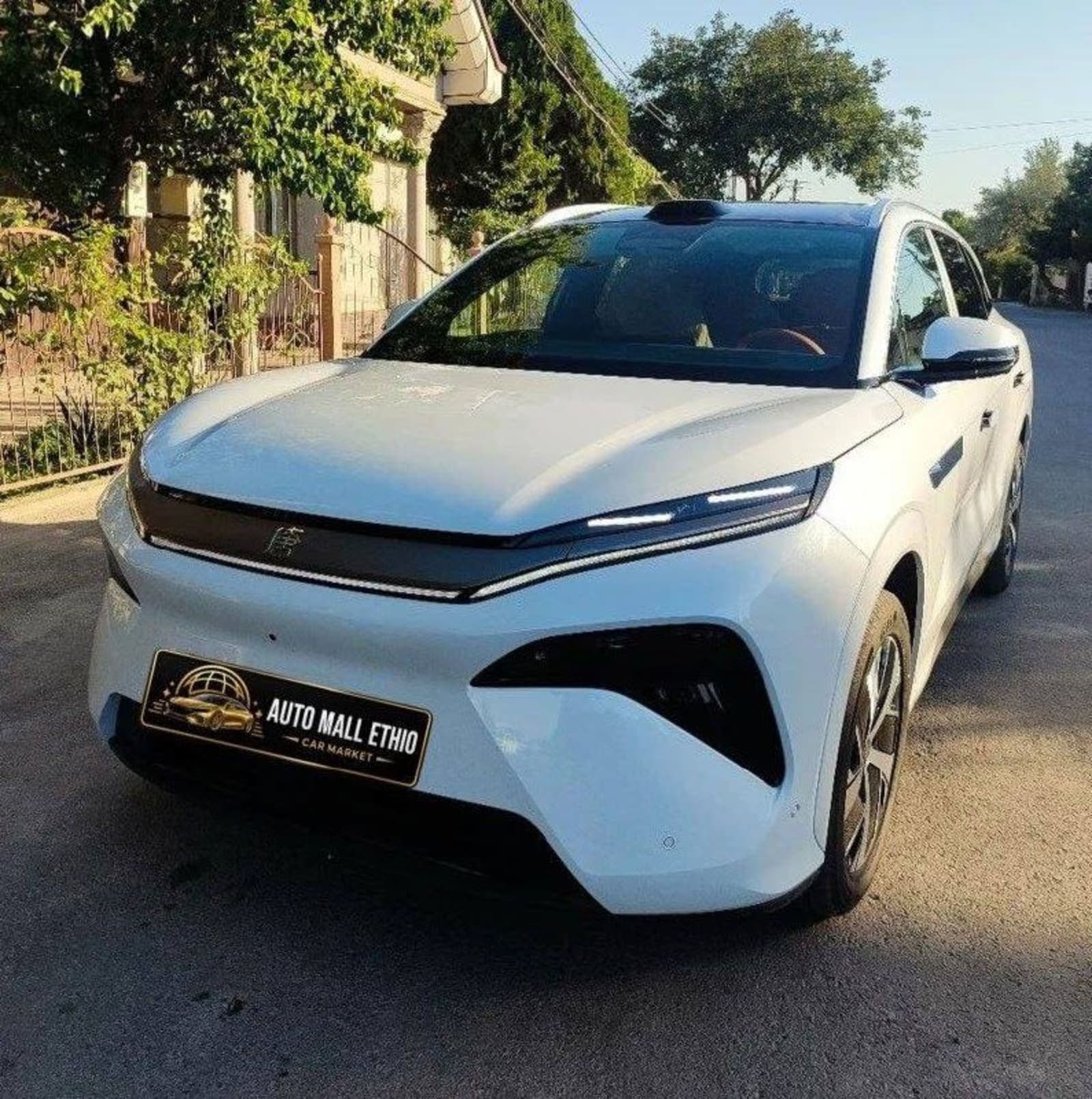 2025 BYD Tang L EV RWD Flagship Edition — photo 3