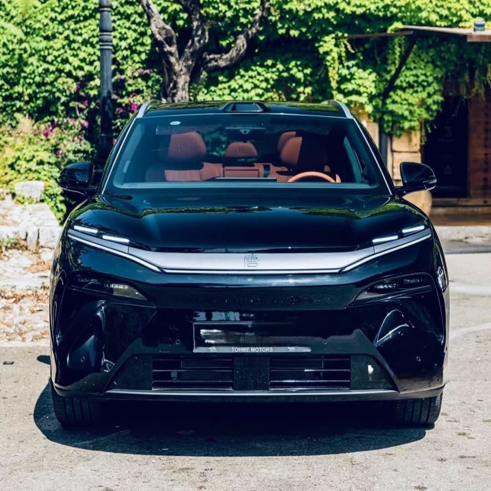 2025 BYD Tang L EV RWD Flagship Edition — photo 1
