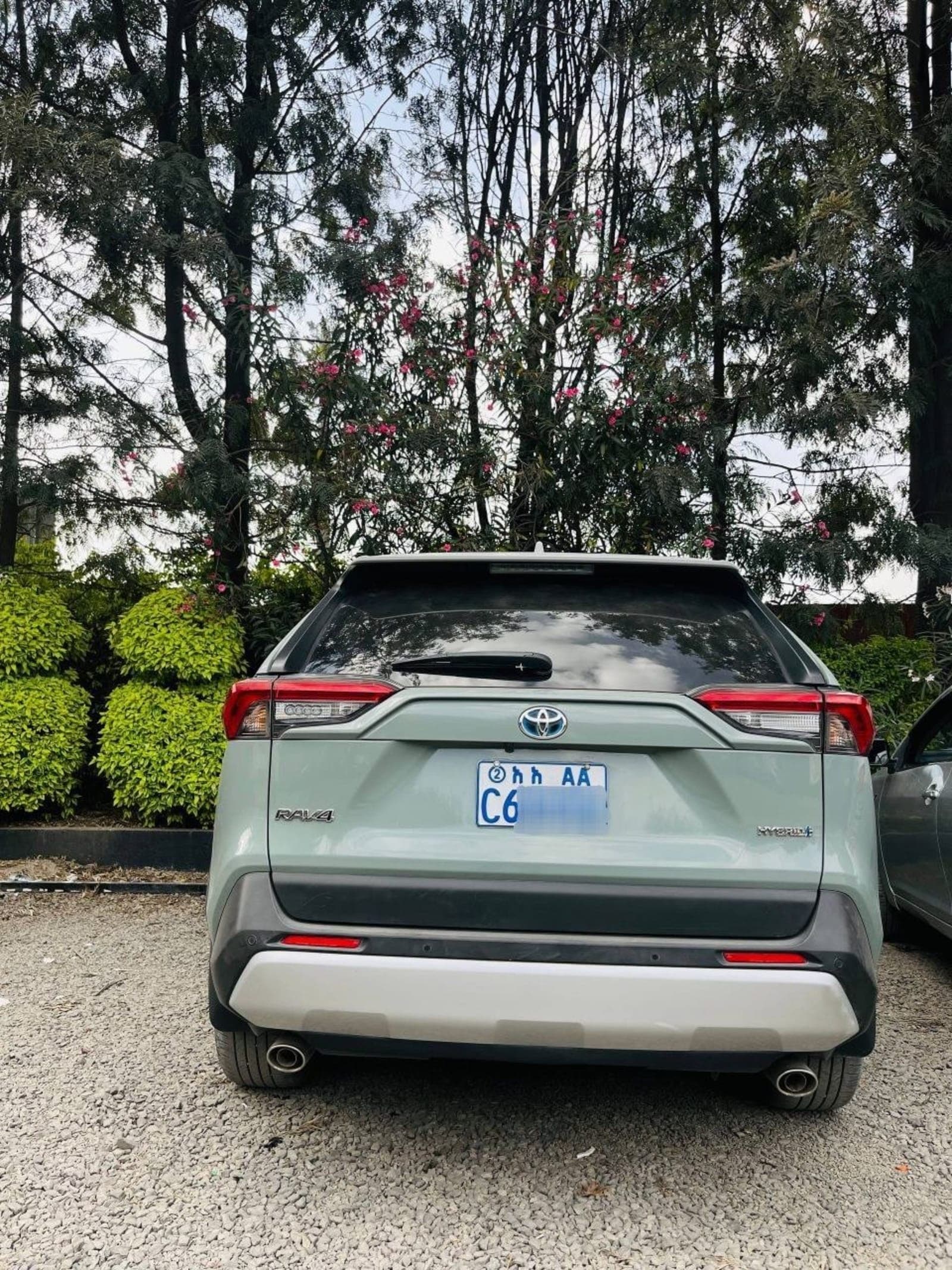 2022 Toyota Rav4 Hybrid Adventure — photo 2