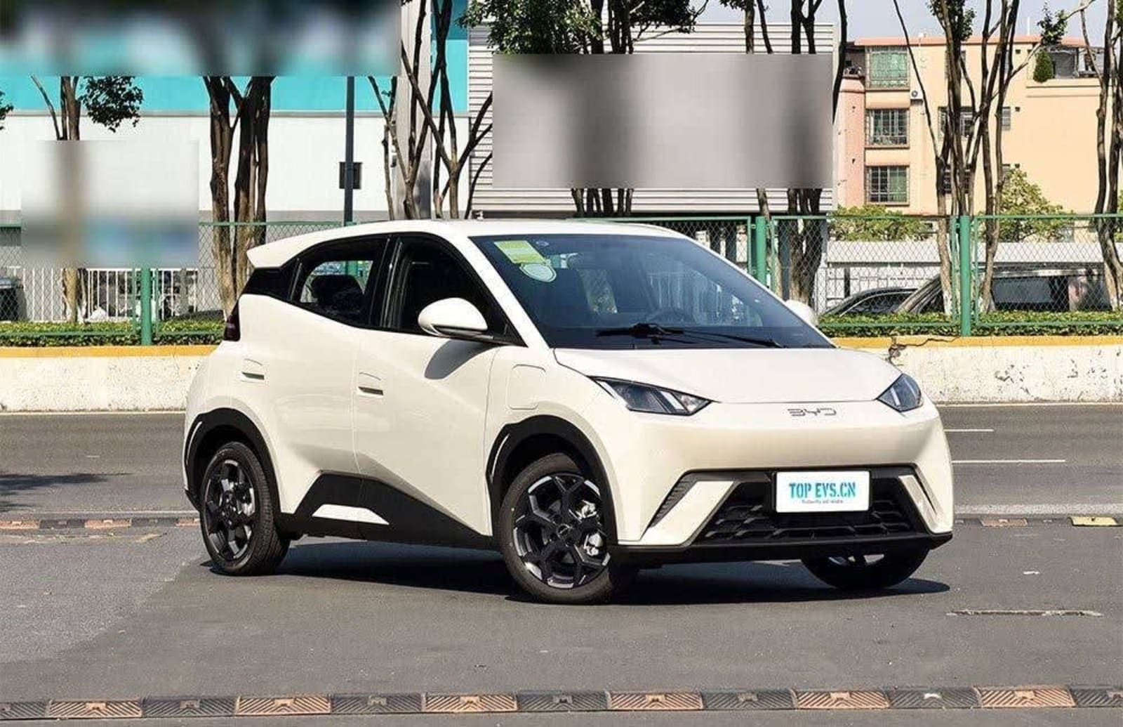 2025 BYD Seagull