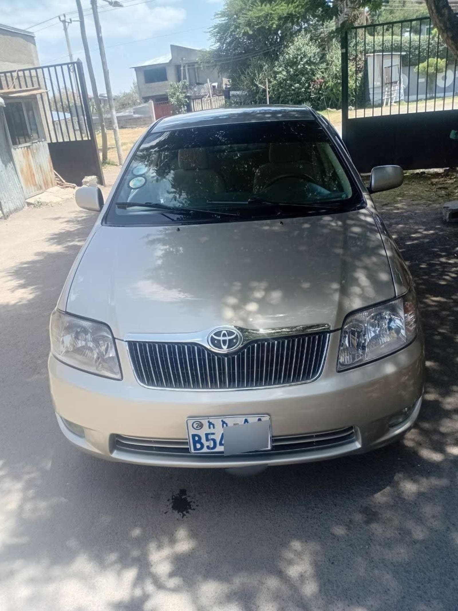 2007 Toyota Corolla — photo 6