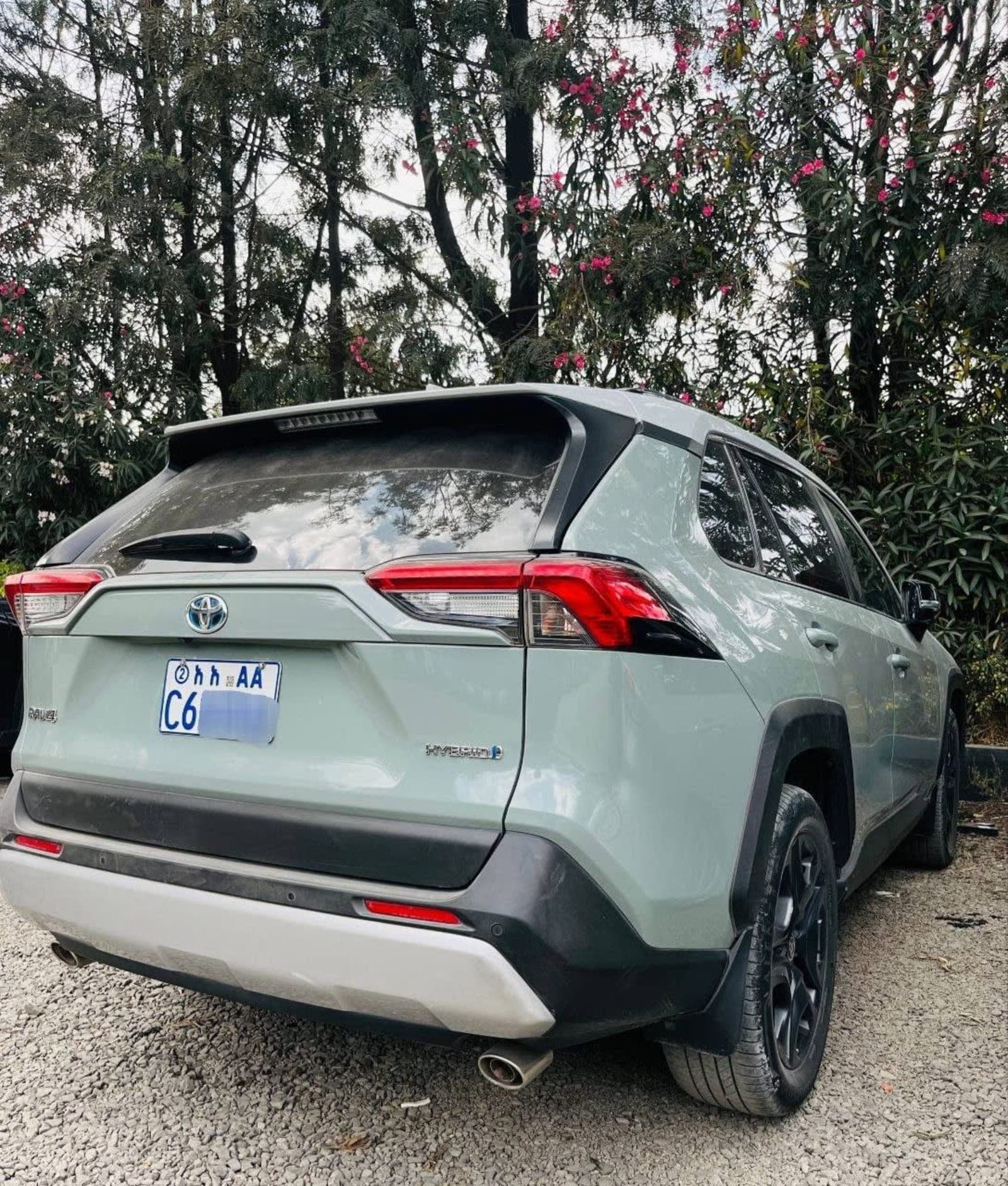 2022 Toyota RAV4 — photo 3