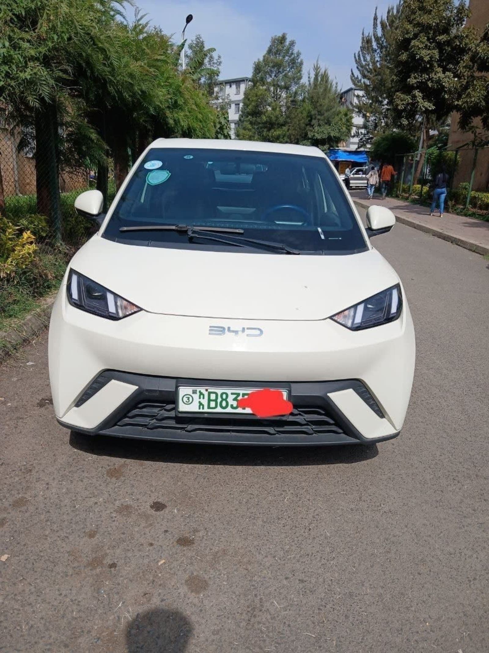 2024 BYD Seagull — photo 2