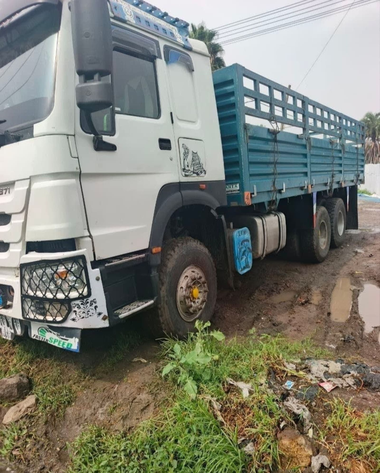 2021 Sino casoni — photo 2