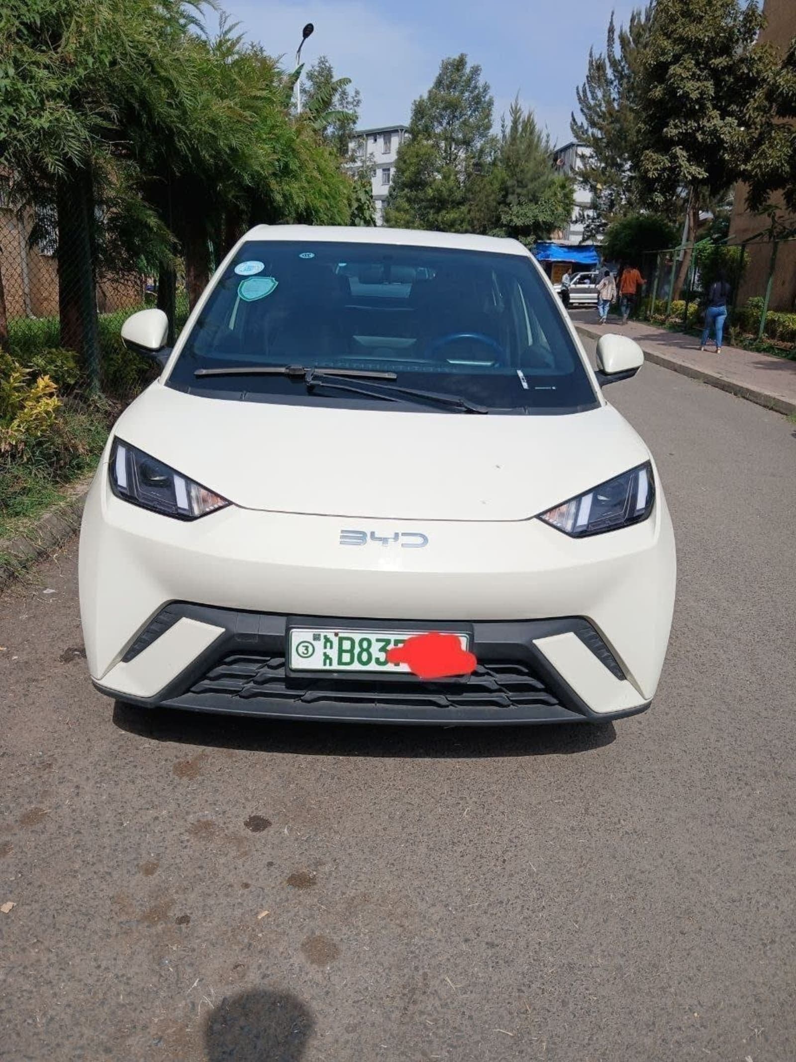 2024 BYD Seagull — photo 2