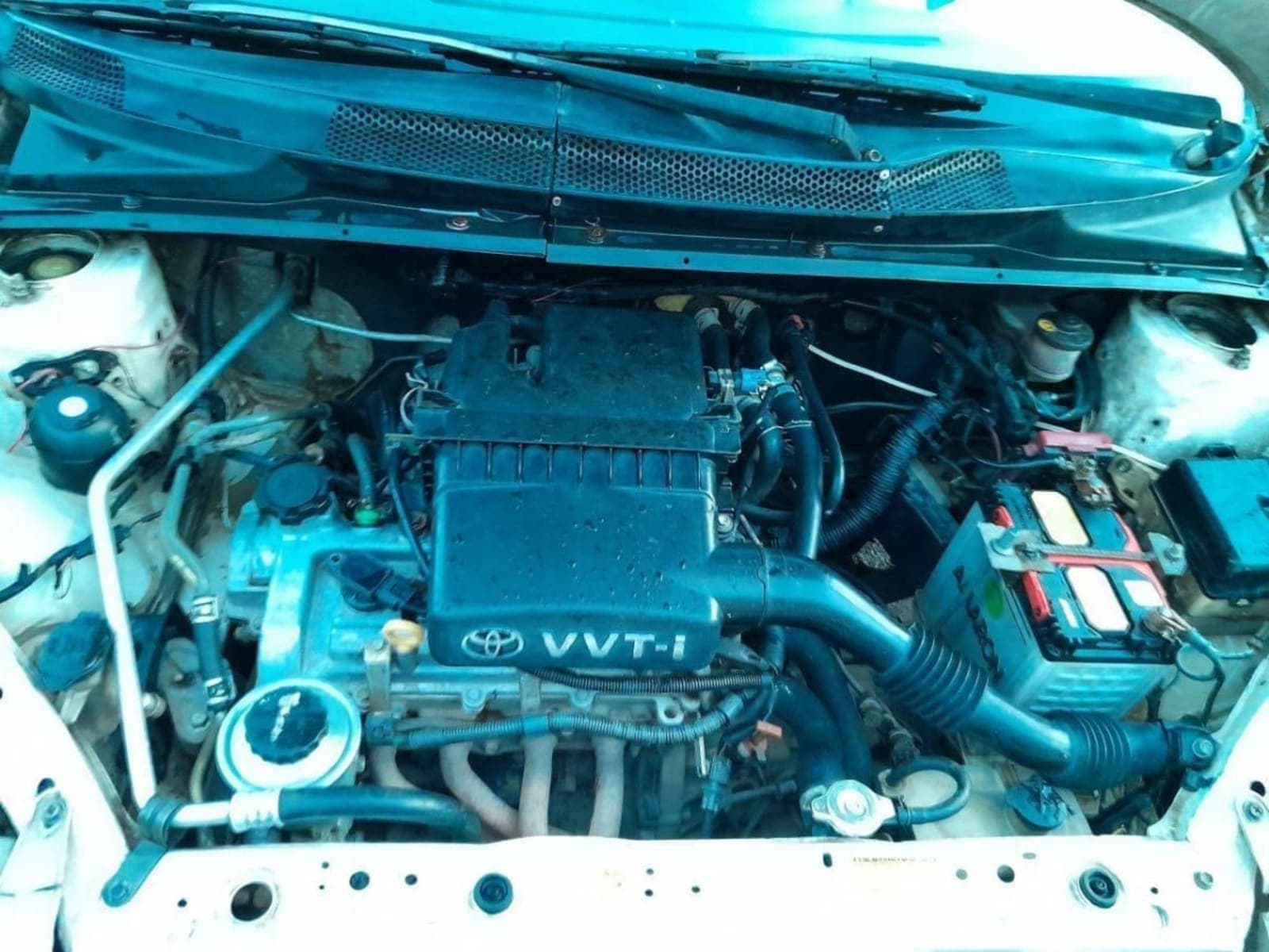 2001 Toyota Platz — photo 5