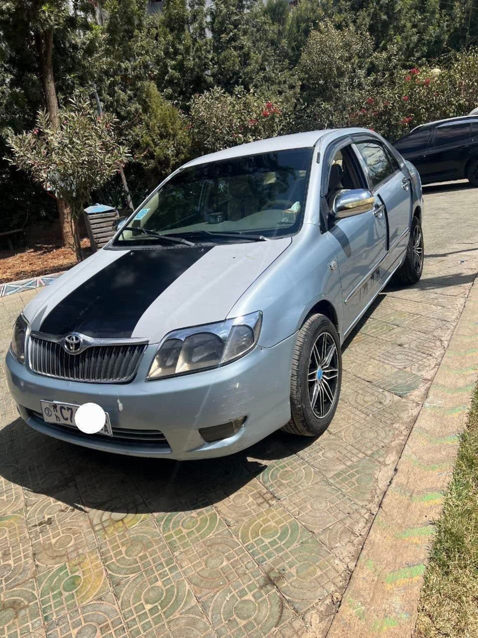 2007 Toyota Corolla