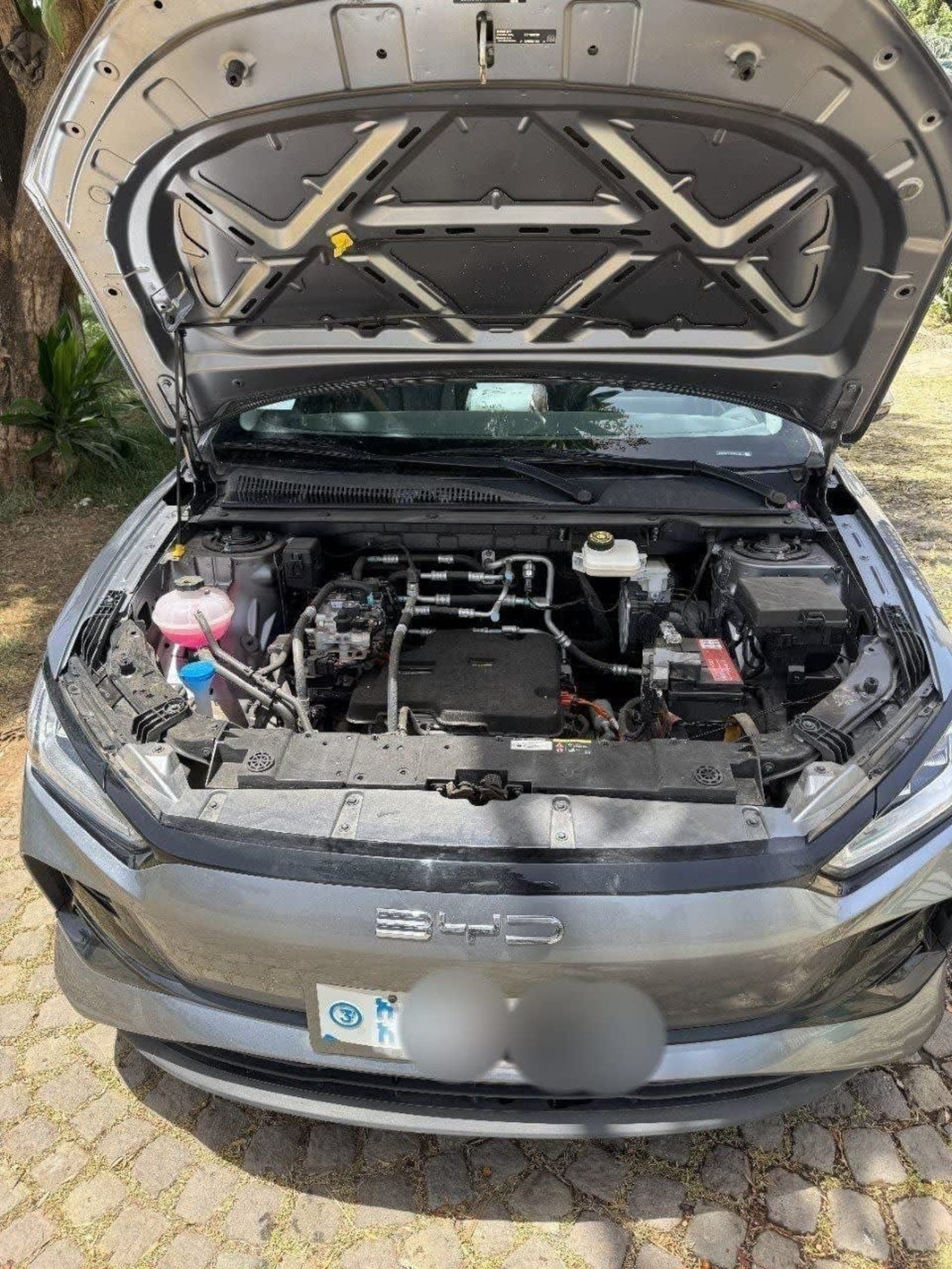 2025 BYD e2 — photo 3