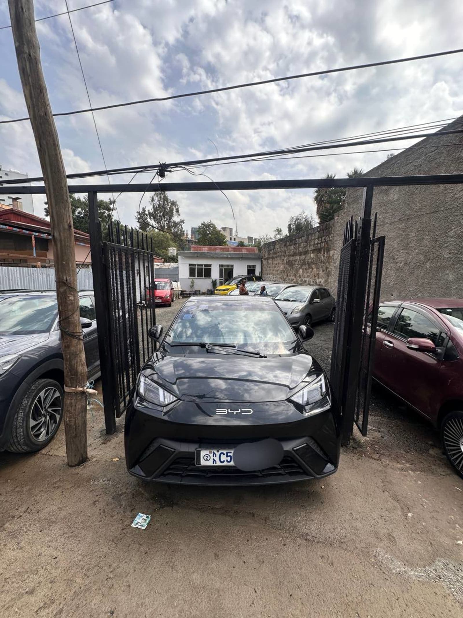 2023 BYD Segul