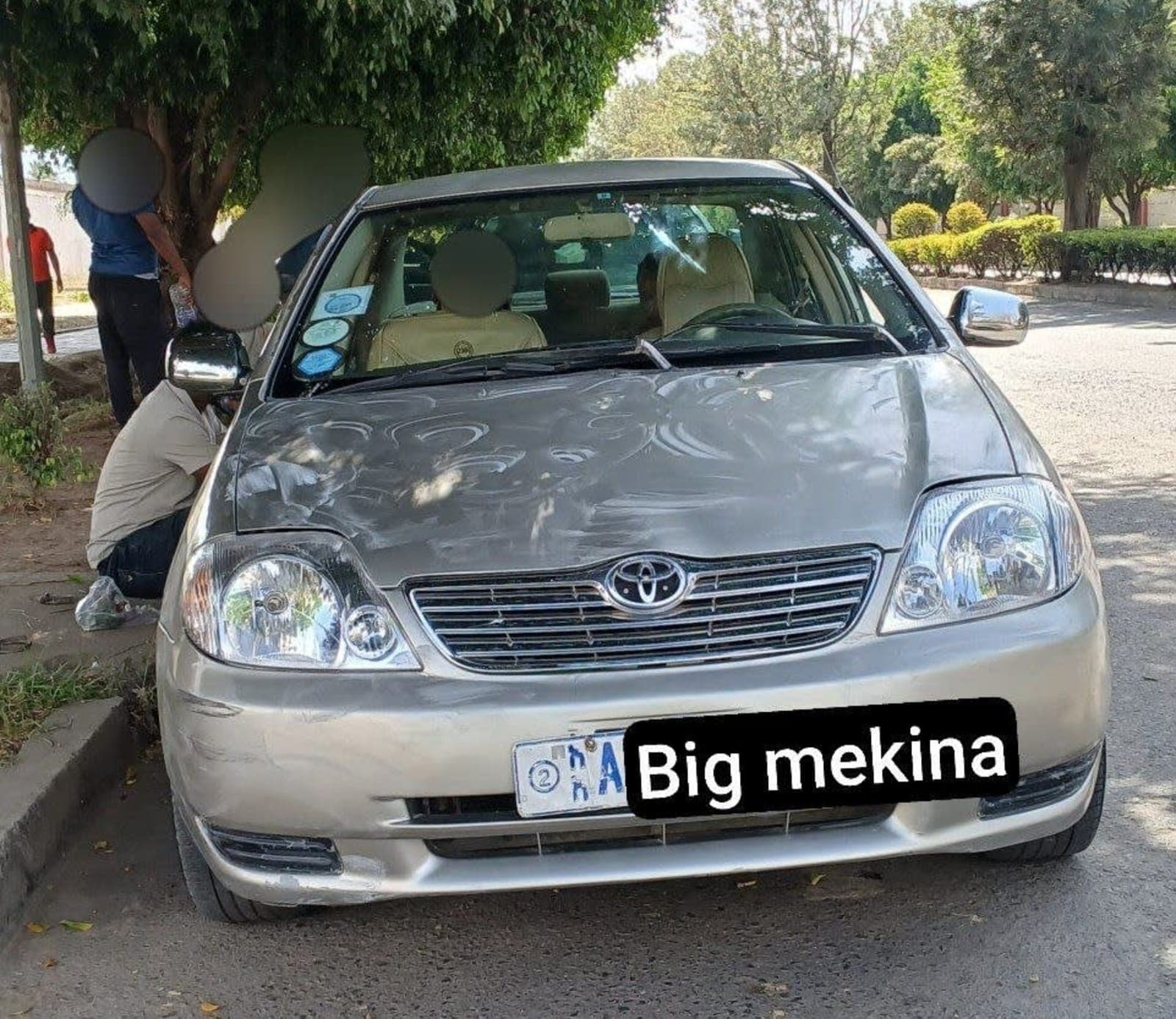 2004 Toyota Corolla — photo 7